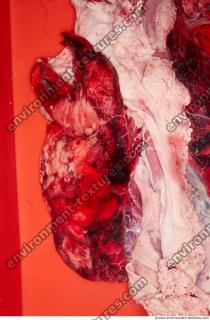 RAW meat pork 0242